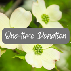 One-Time Foundation Donation