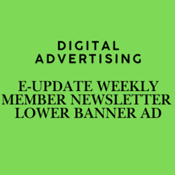 Digital Advertising - Weekly Newsletter Lower Banner