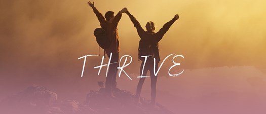 5 Cornerstones of Resilience 